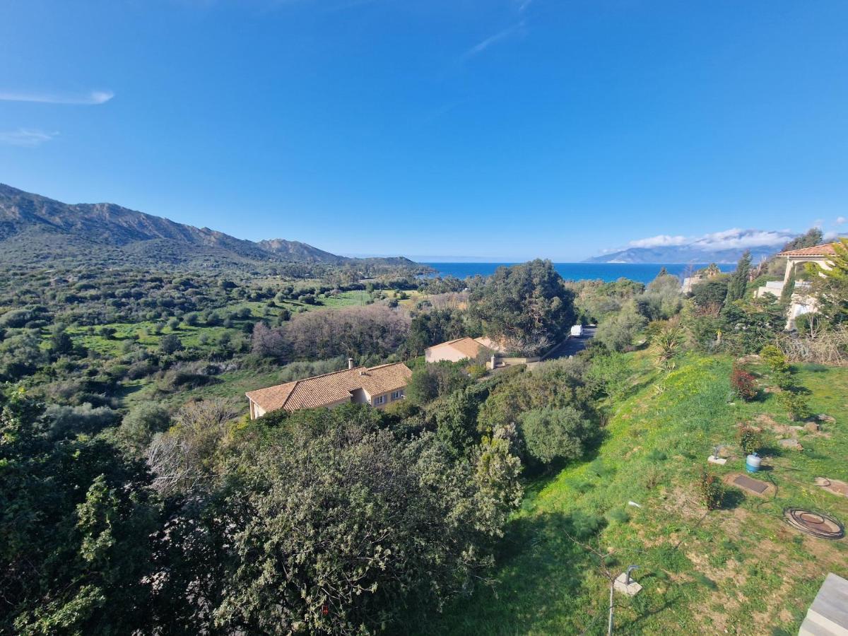 Appartement Vue Mer Fromontica Saint-Florent  Zewnętrze zdjęcie