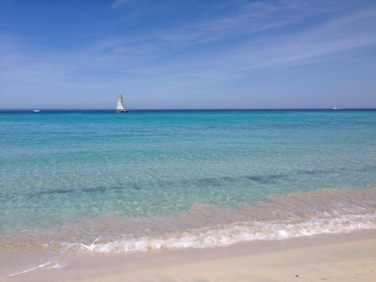 Appartement Vue Mer Fromontica Saint-Florent  Zewnętrze zdjęcie